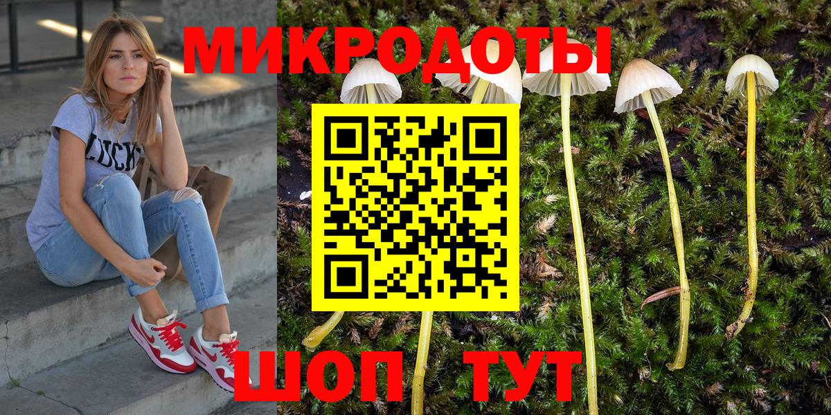Псилоцибиновые грибы Psilocybe  Вход с VPN  Усолье-Сибирское 